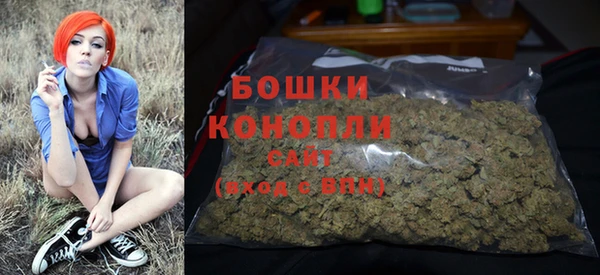 PSILOCYBIN Медногорск