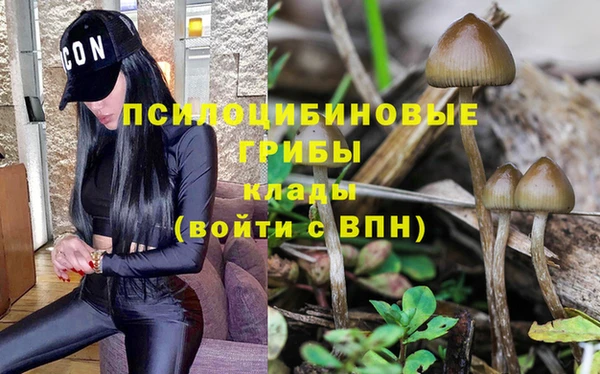 PSILOCYBIN Медногорск