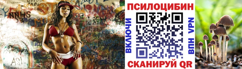 Псилоцибиновые грибы Psilocybine cubensis  Куртамыш 